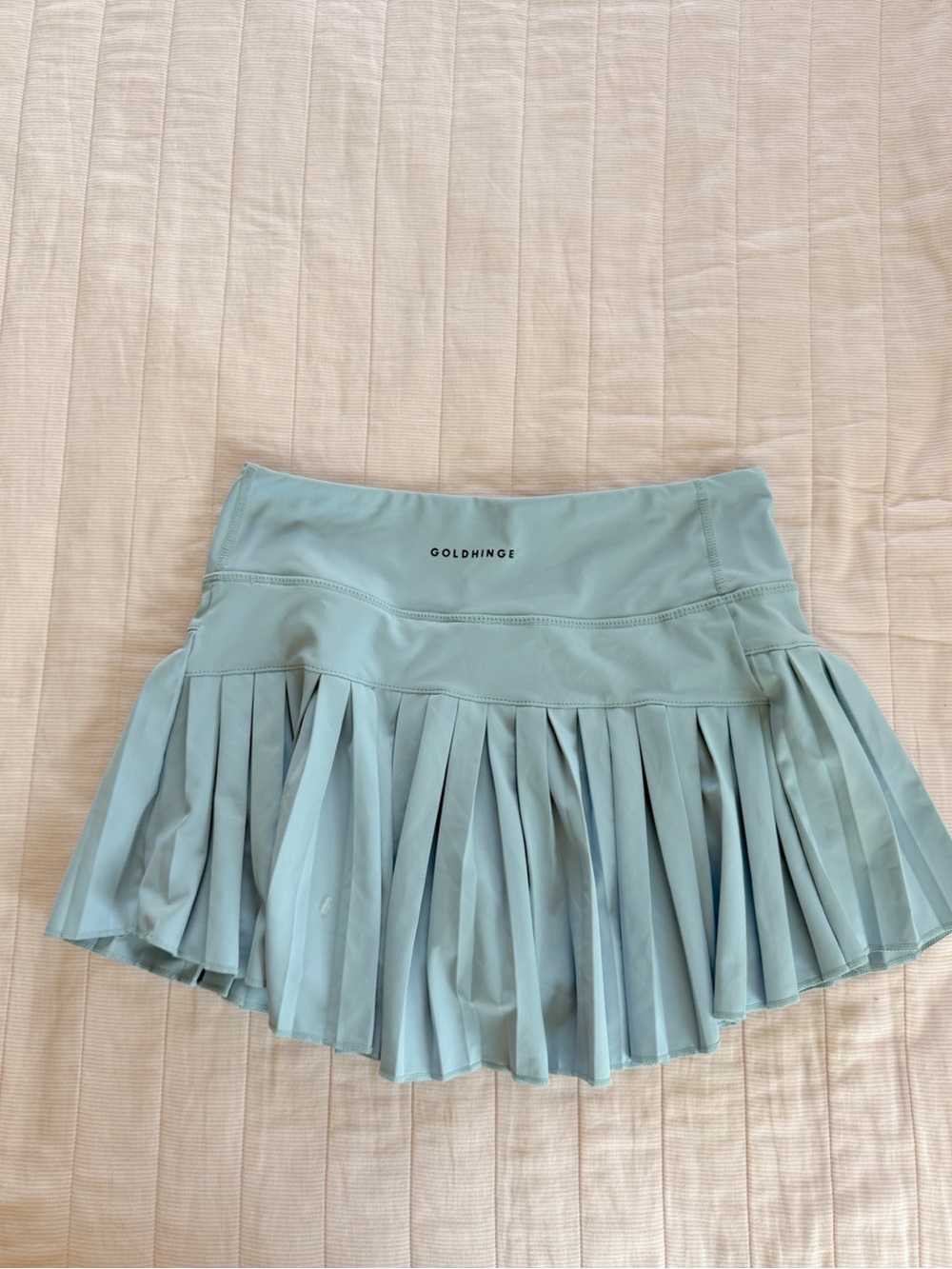 GOLDHINGE M Pleated Mini Skirt in Dusty Blue